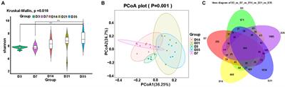 Dynamic Changes in Lung Microbiota of Broilers in Response to Aging and Ammonia Stress